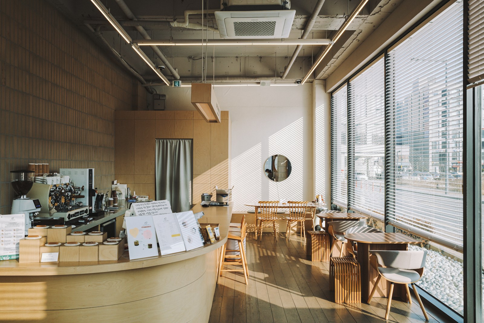 Sunlit independent cafe with a warm wooden counter and seating
